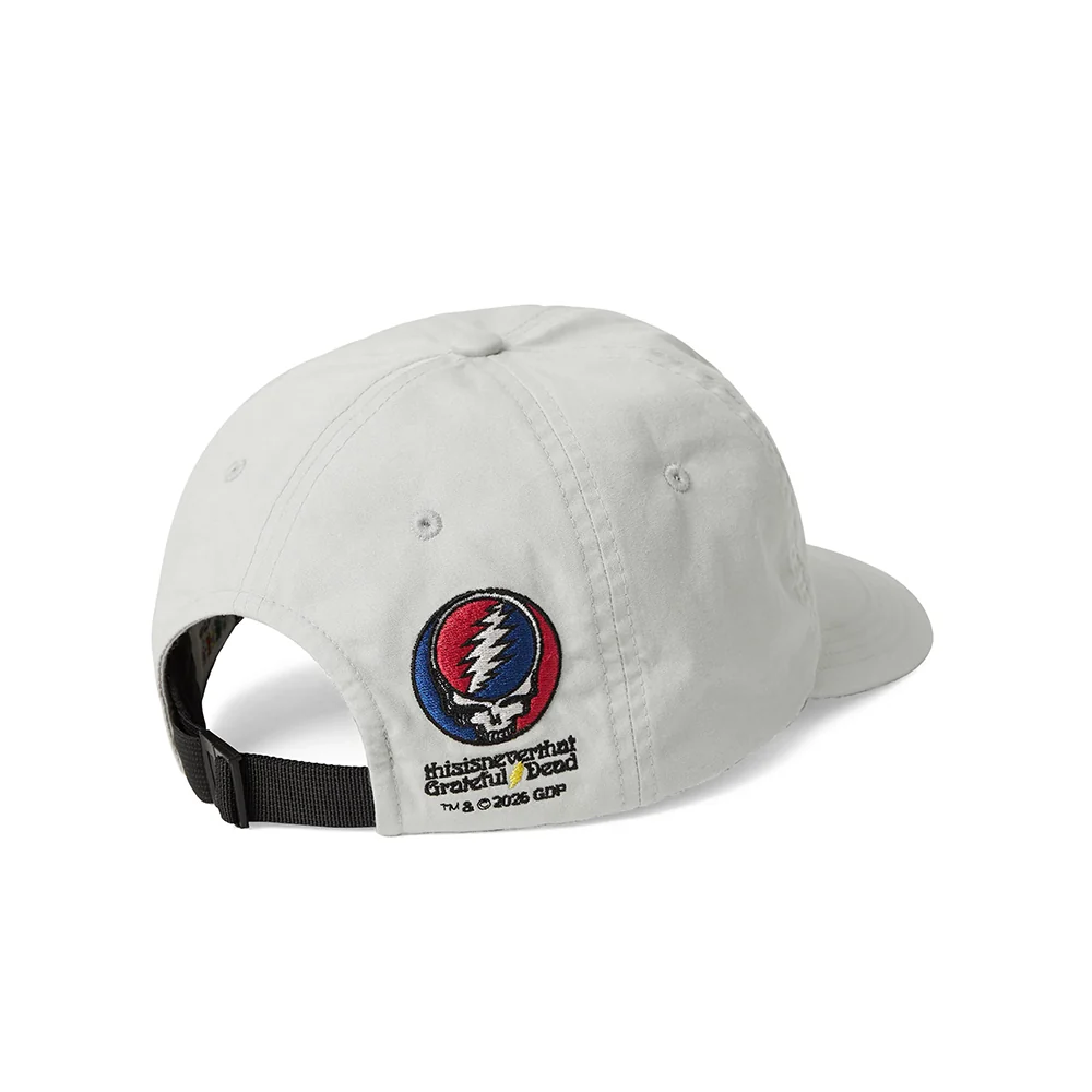 GD Ol' Dancing Bears Cap | Stone - Image 3