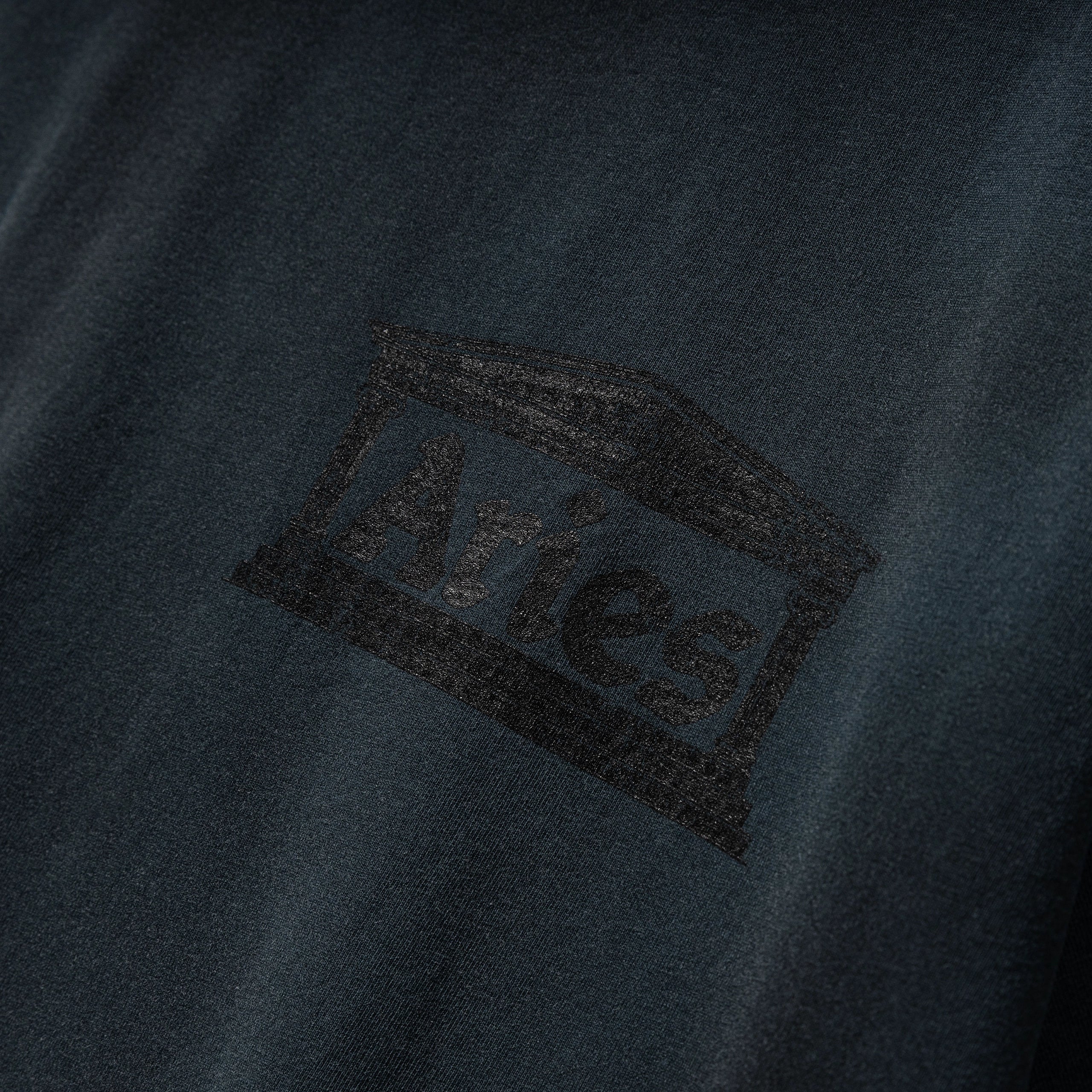 Sunbleached Ancient Temple Tee | Black - Image 3