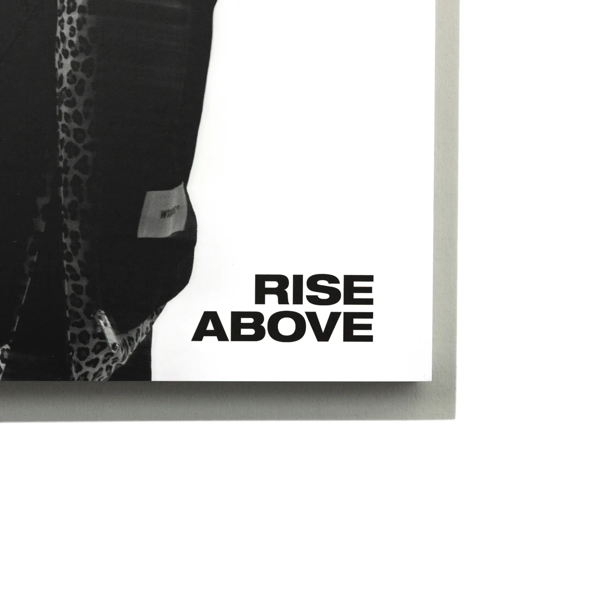 The New Order Issue 37 : Rise Above - Image 12
